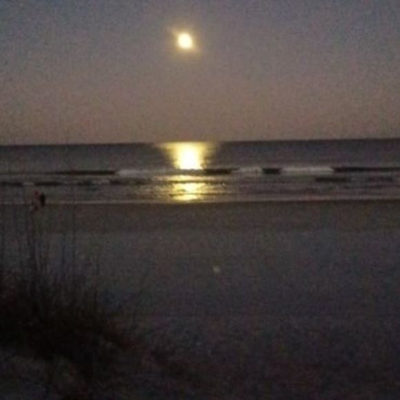 Meet your Posher, Susan - Picture 1 of 1